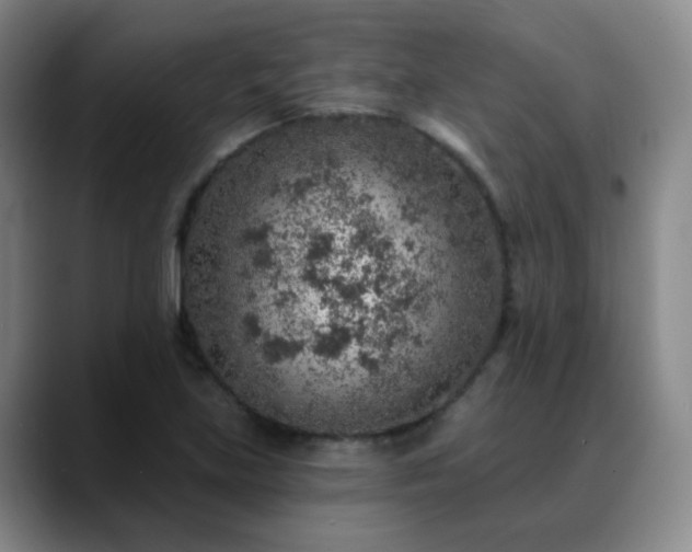X0000088871219200706151747