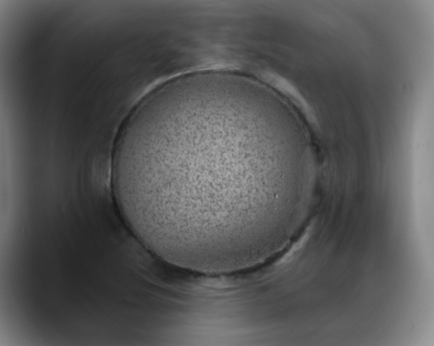 X0000088871220200706151747