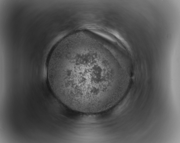 X0000088871221200706151747