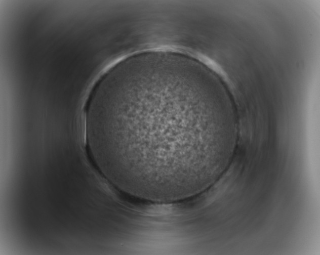 X0000088871223200706151747