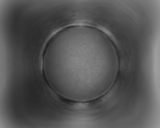 X0000088871224200706151747