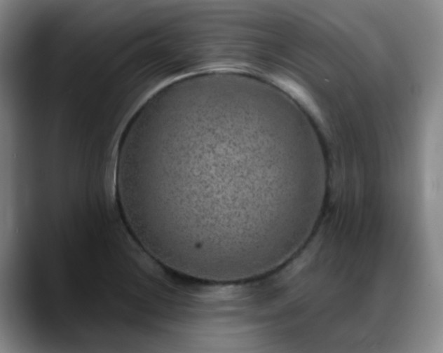 X0000088871228200706151747