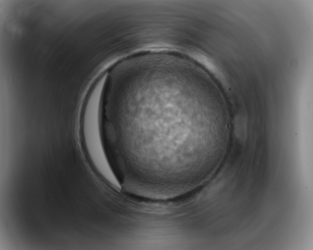 X0000088871229200706151748