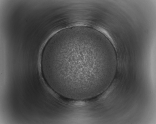 X0000088871235200706151748
