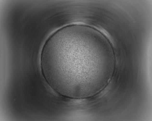 X0000088871240200706151748