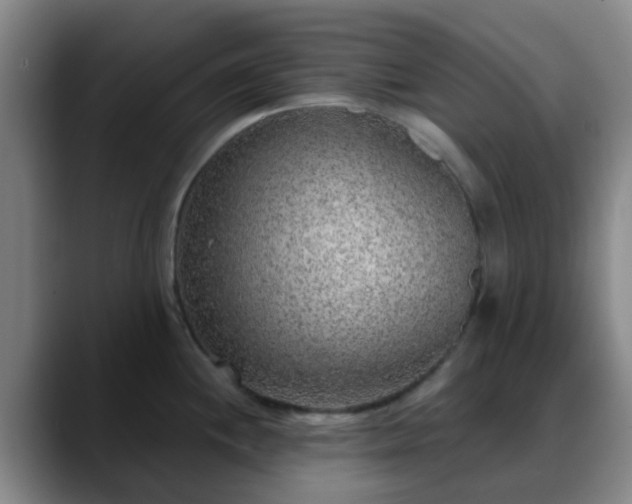 X0000088871244200706151748