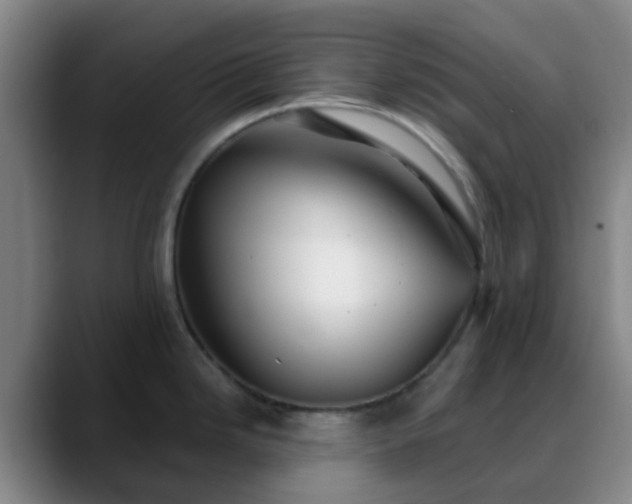 X0000088871246200706151748
