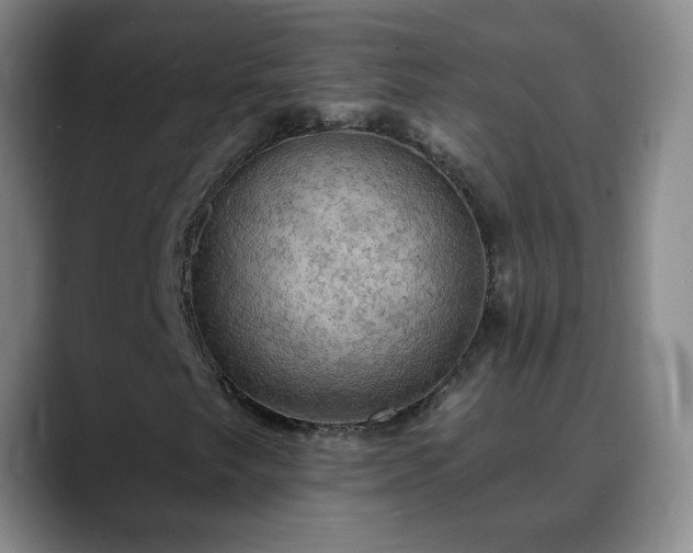 X0000088871249200706151747