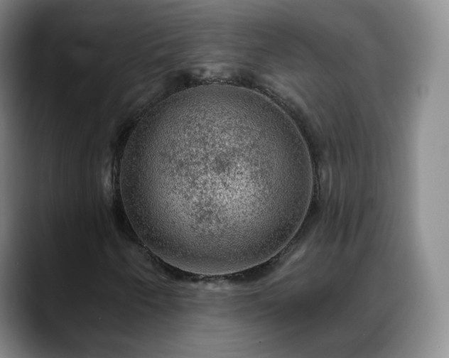X0000088871250200706151747