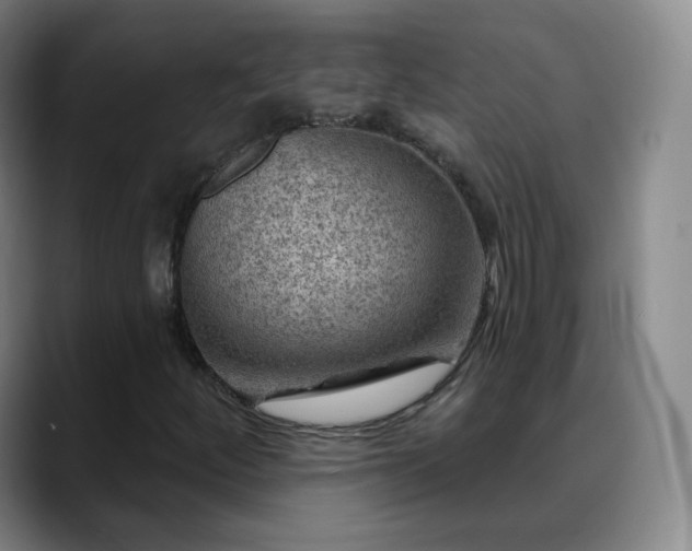 X0000088871252200706151747