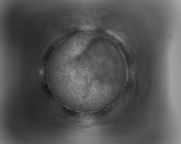 X0000088871254200706151747