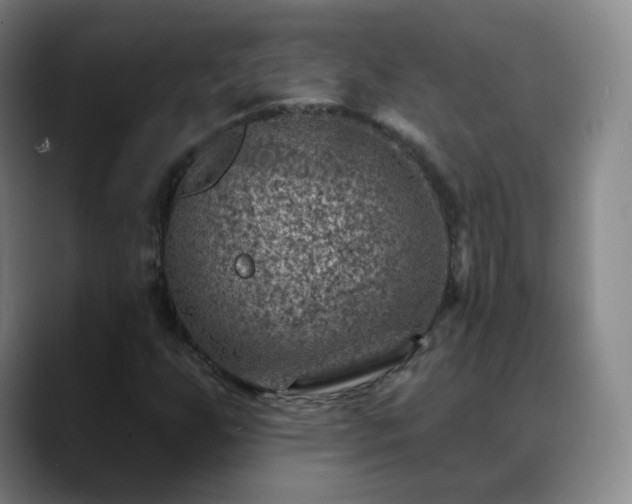 X0000088871255200706151747