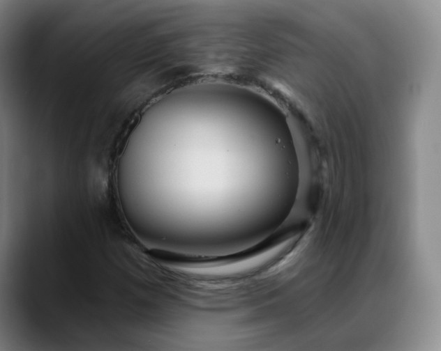 X0000088871257200706151747