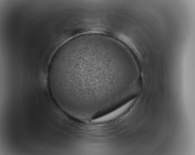 X0000088871260200706151747