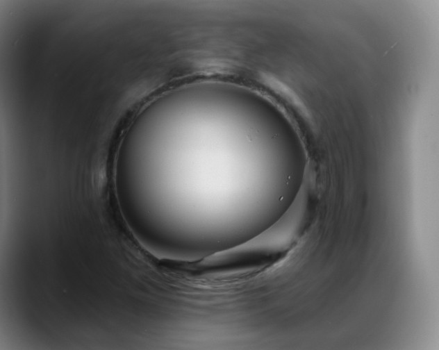 X0000088871261200706151747