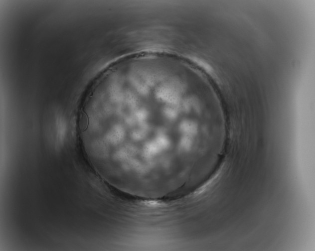X0000088871263200706151747