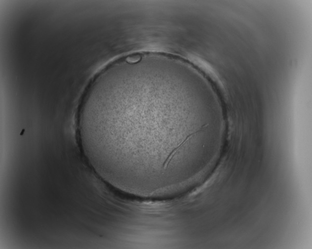 X0000088871264200706151747