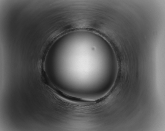 X0000088871265200706151747