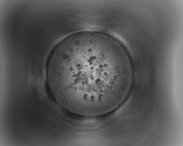 X0000088871267200706151747