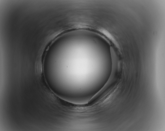 X0000088871269200706151747