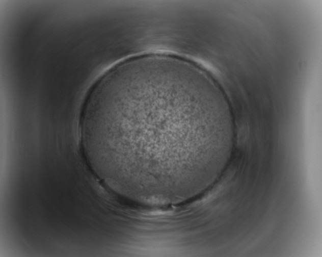 X0000088871271200706151747