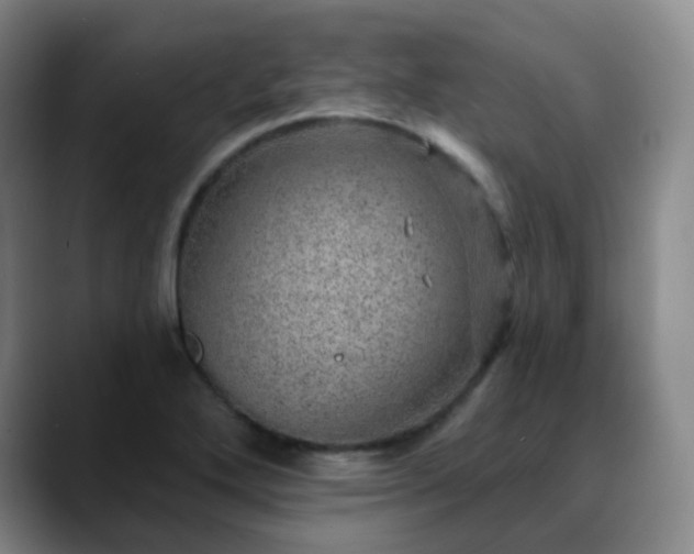X0000088871272200706151747