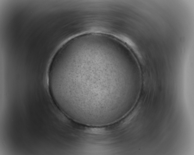 X0000088871280200706151747