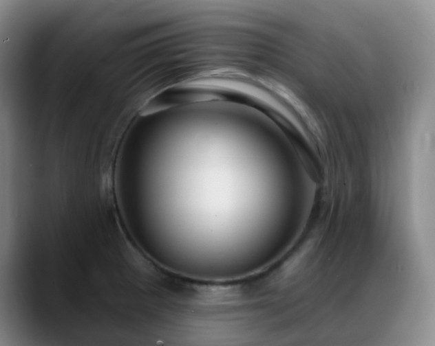 X0000088871281200706151747