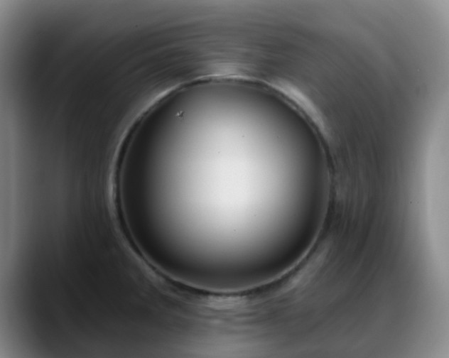 X0000088871285200706151747