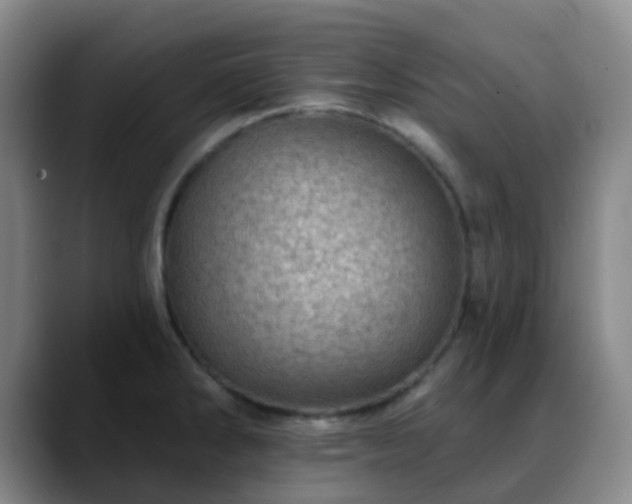 X0000088871286200706151747