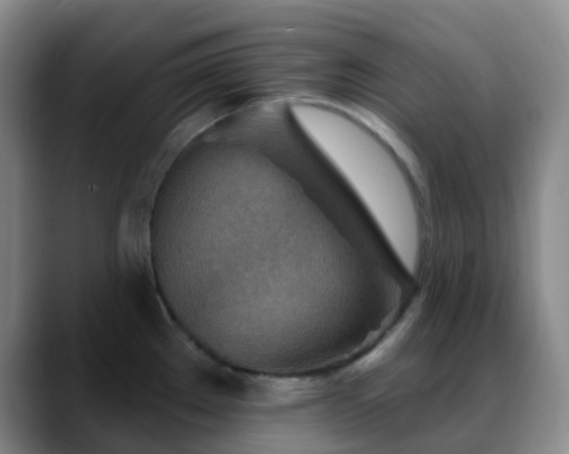 X0000088871289200706151747