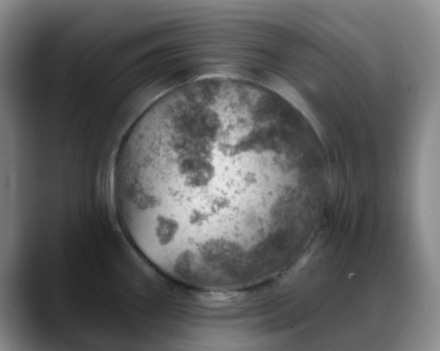 X0000088871290200706151747