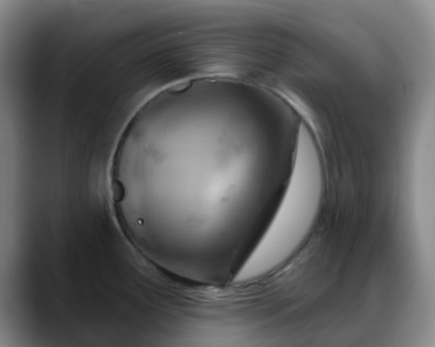 X0000088871291200706151747