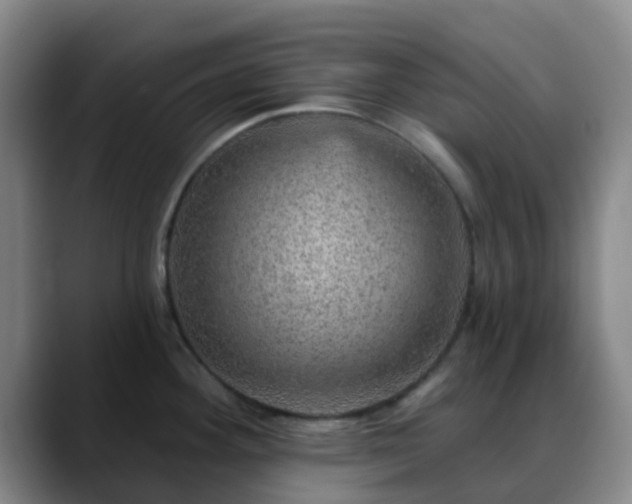 X0000088871292200706151747