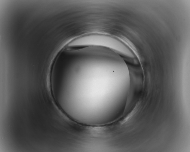 X0000088871293200706151747