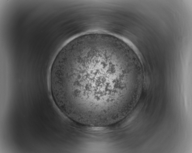 X0000088871295200706151747