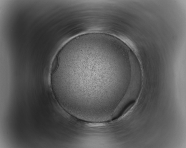 X0000088871296200706151747