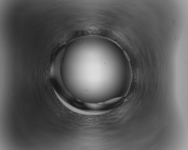 X0000088871298200706151746