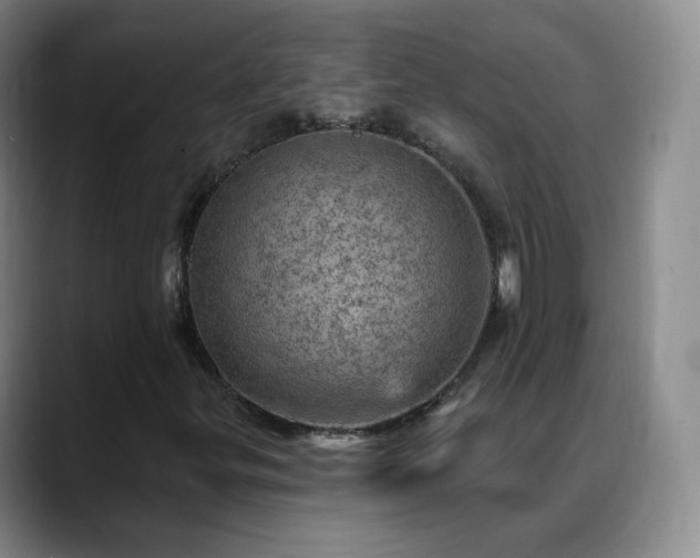 X0000088871299200706151746