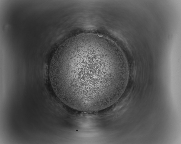 X0000088871301200706151746