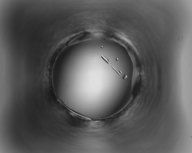 X0000088871304200706151746