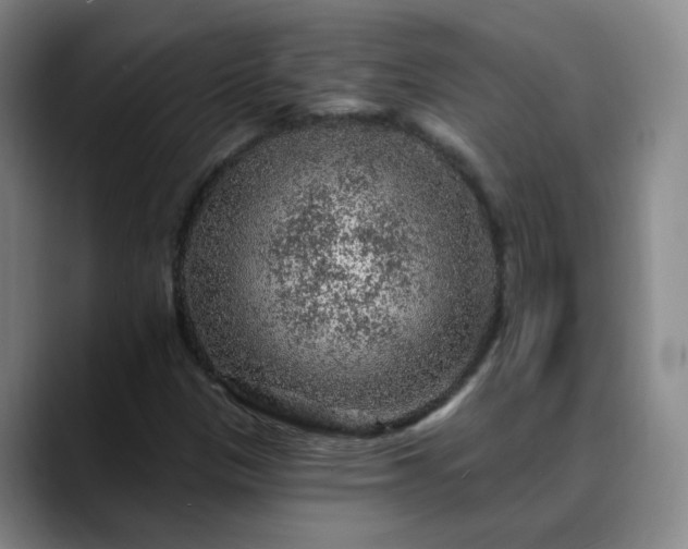 X0000088871305200706151746