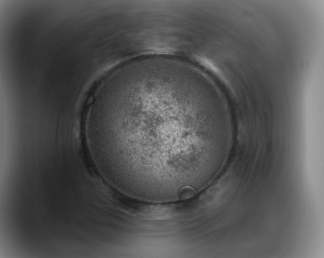 X0000088871307200706151746