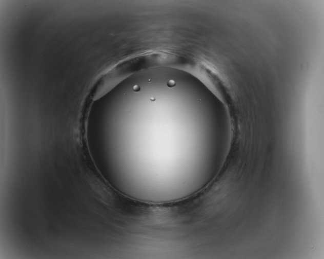 X0000088871308200706151746