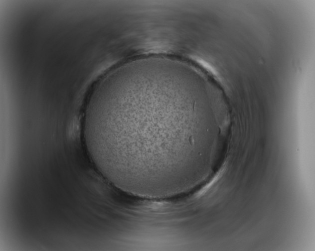 X0000088871309200706151746