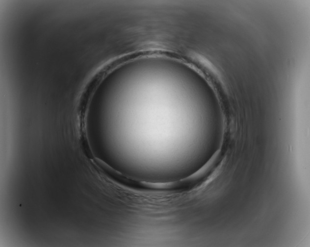 X0000088871310200706151746