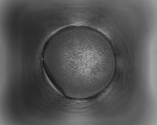 X0000088871311200706151746