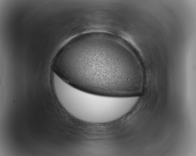 X0000088871312200706151746