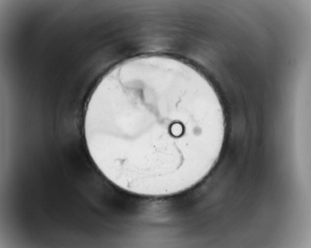 X0000088871314200706151746