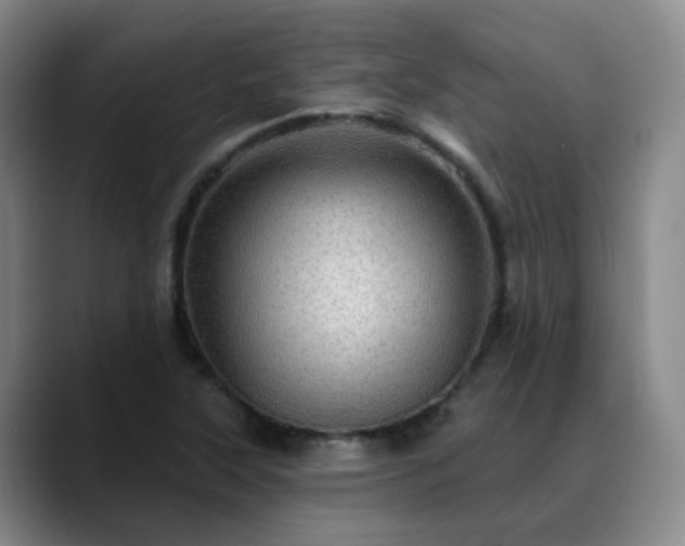 X0000088871315200706151746